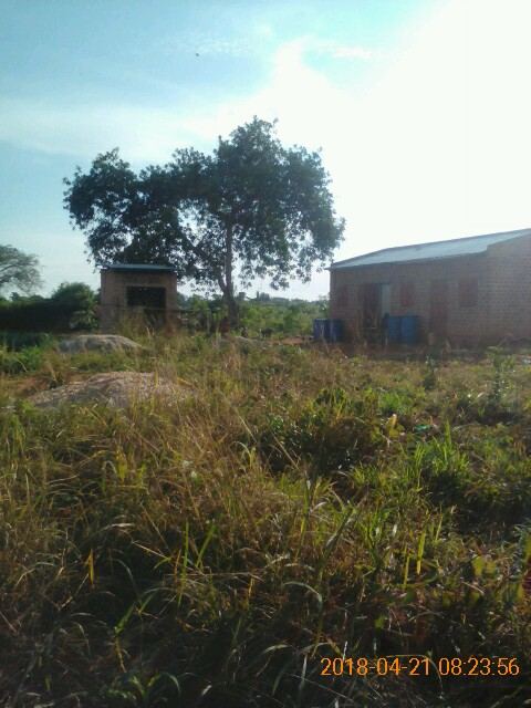 200 Acres of Land in Luwero District. 23 km from Luwero Town — photo 6