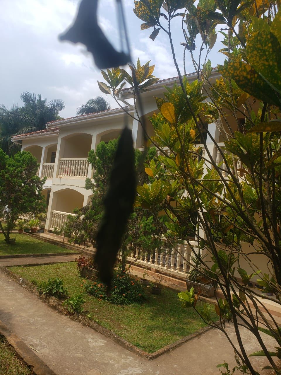 Two 6-Bedroom Mansions on Private Mailo – Luzira| UGX 1.3 Billion ugx — photo 1