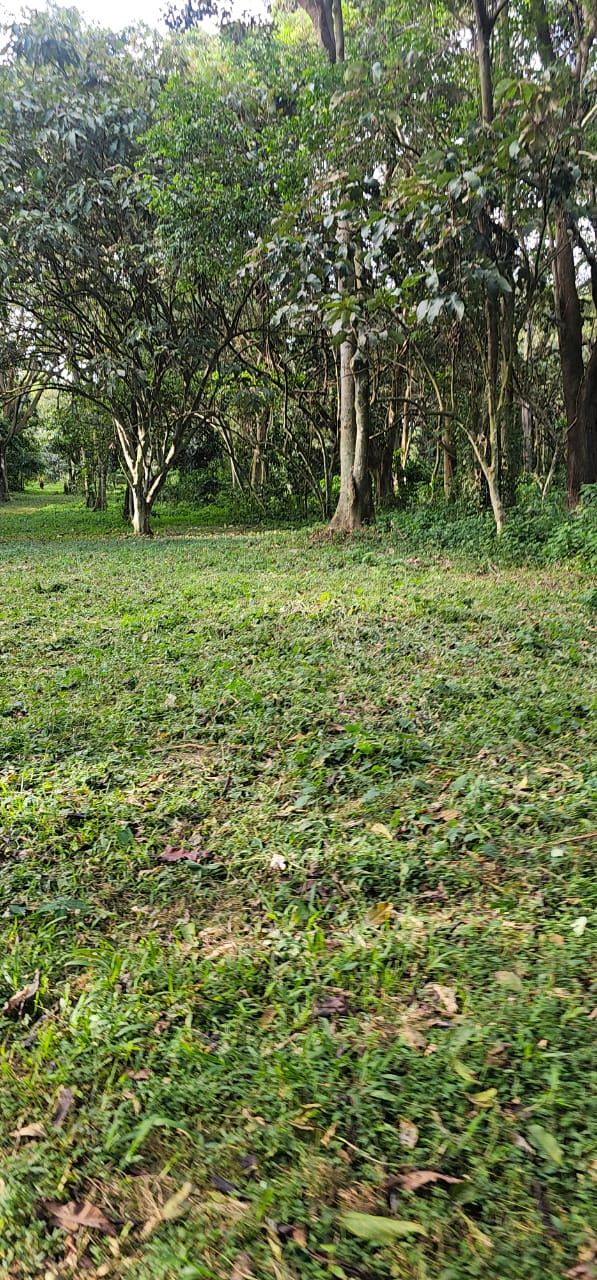 32 Acres of Lakefront Private Mailo – Garuga, Entebbe Road | 550 million ugx per acre — photo 3