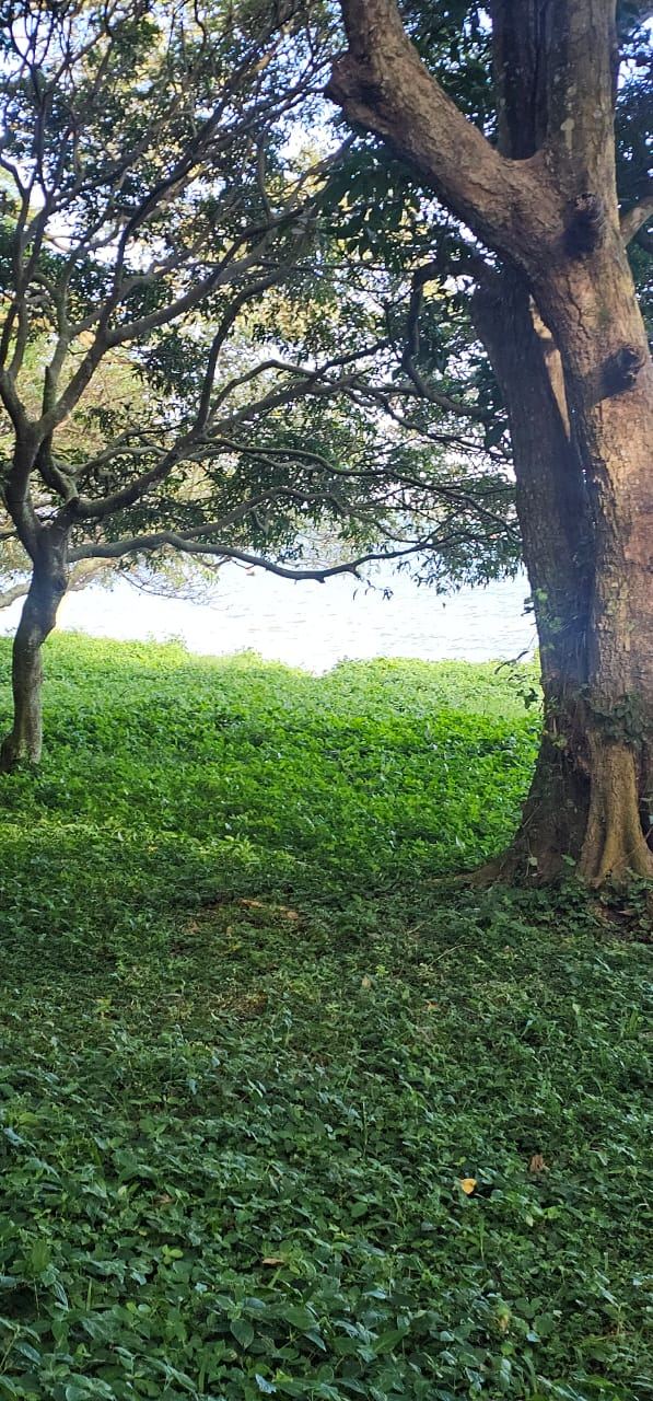32 Acres of Lakefront Private Mailo – Garuga, Entebbe Road | 550 million ugx per acre — photo 4