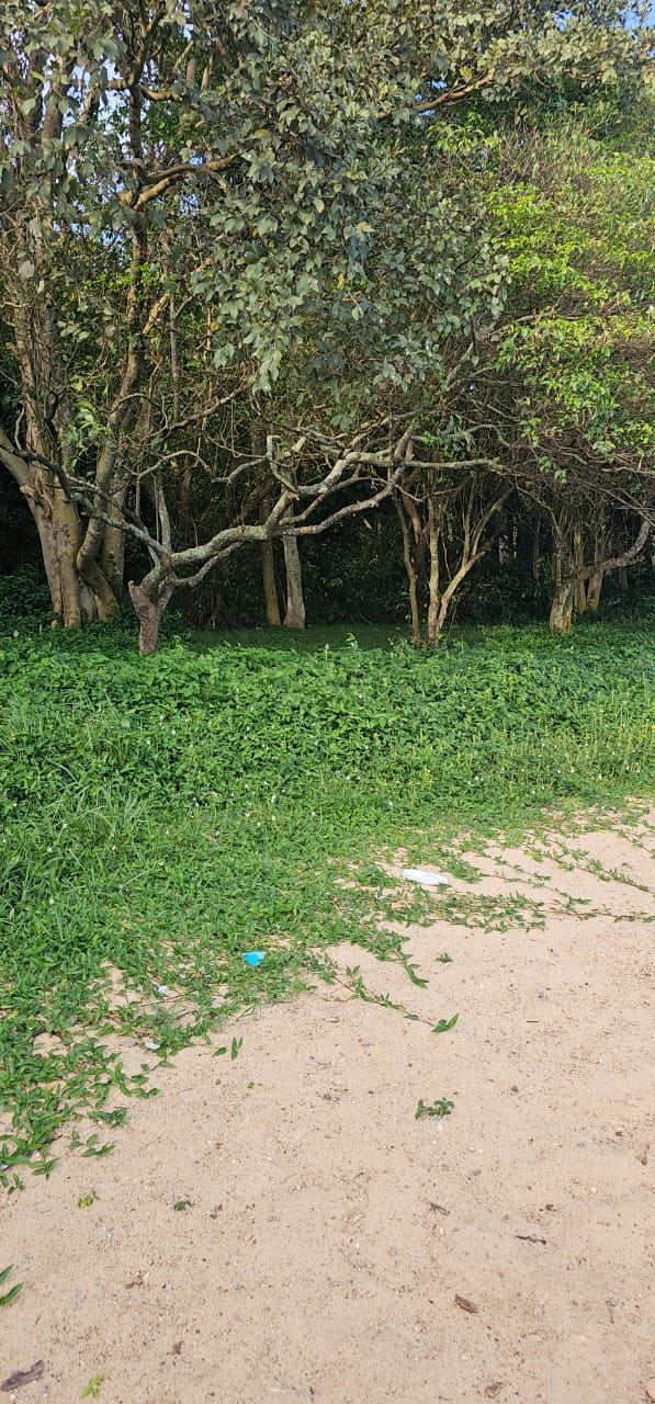 32 Acres of Lakefront Private Mailo – Garuga, Entebbe Road | 550 million ugx per acre — photo 5