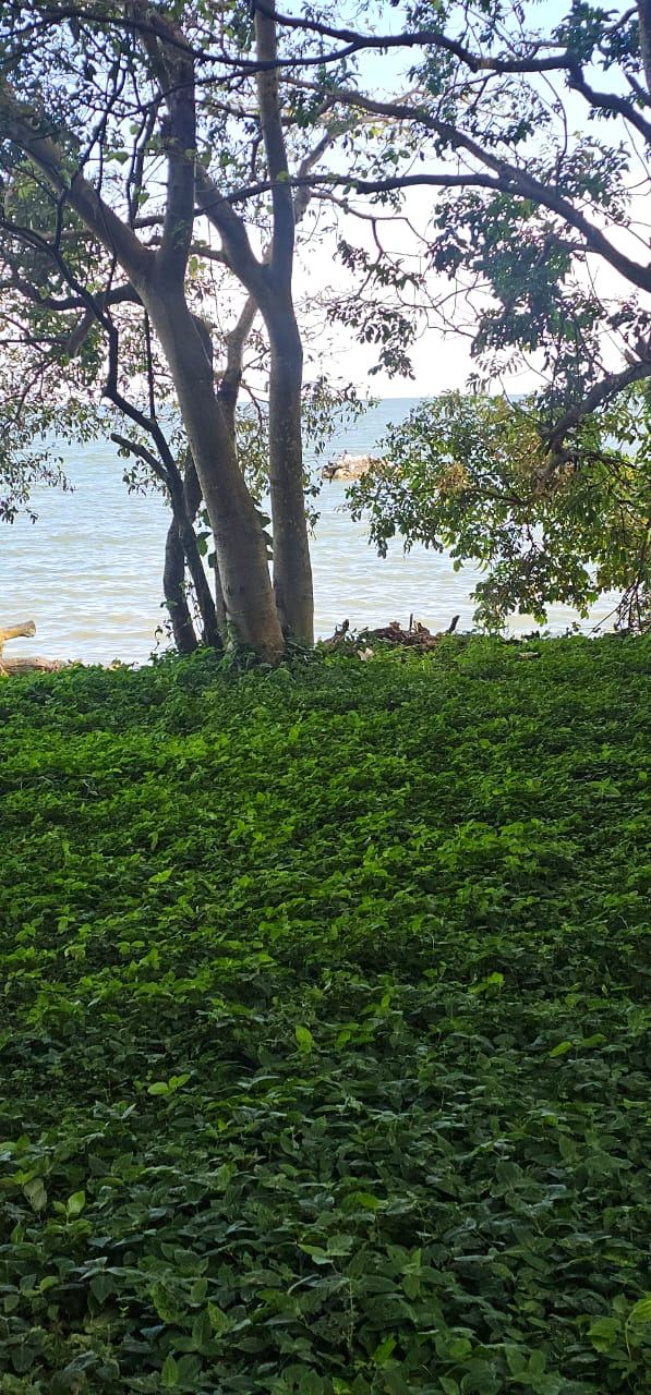 32 Acres of Lakefront Private Mailo – Garuga, Entebbe Road | 550 million ugx per acre — photo 6