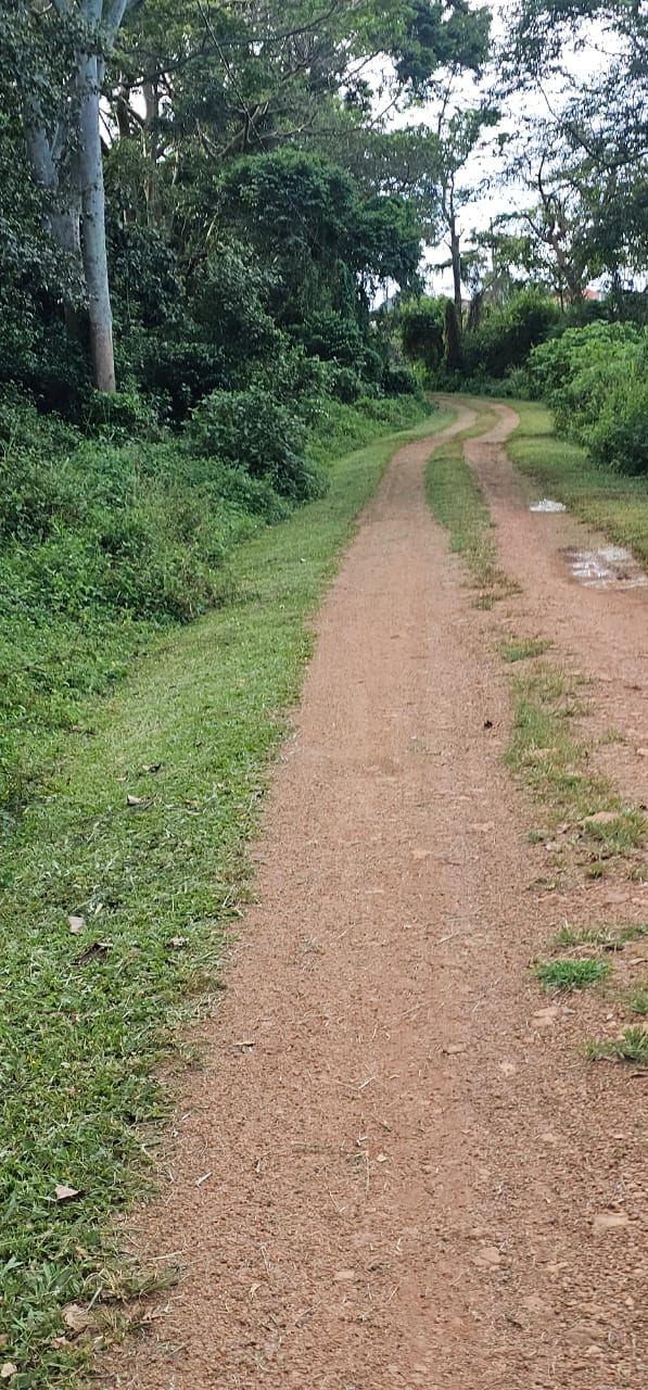 32 Acres of Lakefront Private Mailo – Garuga, Entebbe Road | 550 million ugx per acre — photo 7