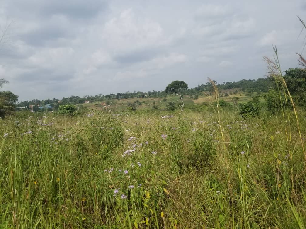 100 Acres for Farming or Estate Development – Off Katosi Road, — photo 2