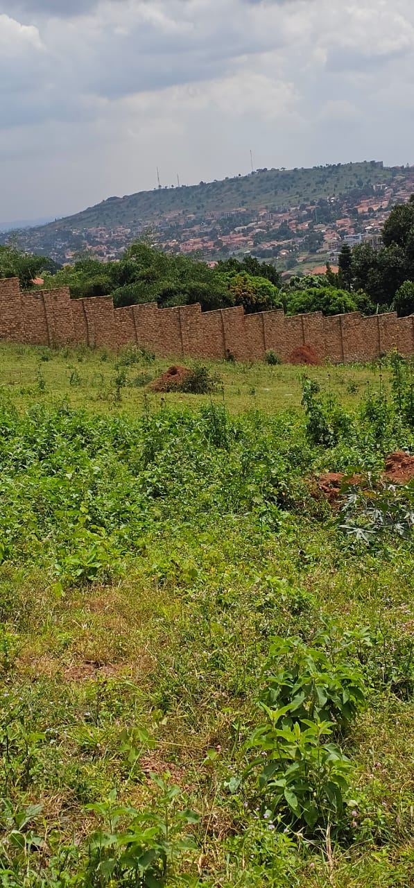 4.5 Acres with View – Katale Sseguku, Entebbe Road | UGX 600M per acre (from 2 acres) — photo 2