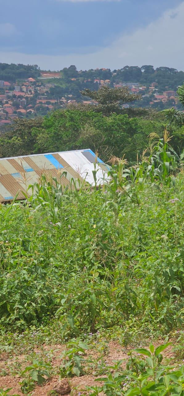 4.5 Acres with View – Katale Sseguku, Entebbe Road | UGX 600M per acre (from 2 acres) — photo 4