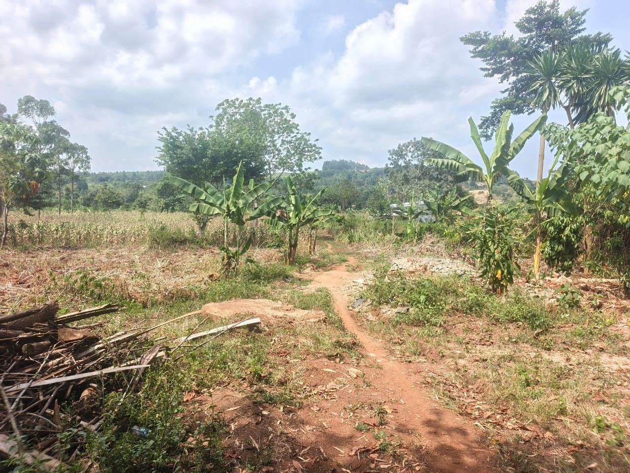 5 Acres of Prime Mailo Land for Sale in Mbalala, Mukono – UGX 70M per Acre