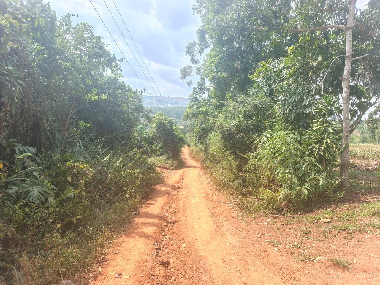 5 Acres of Prime Mailo Land for Sale in Mbalala, Mukono – UGX 70M per Acre — photo 4