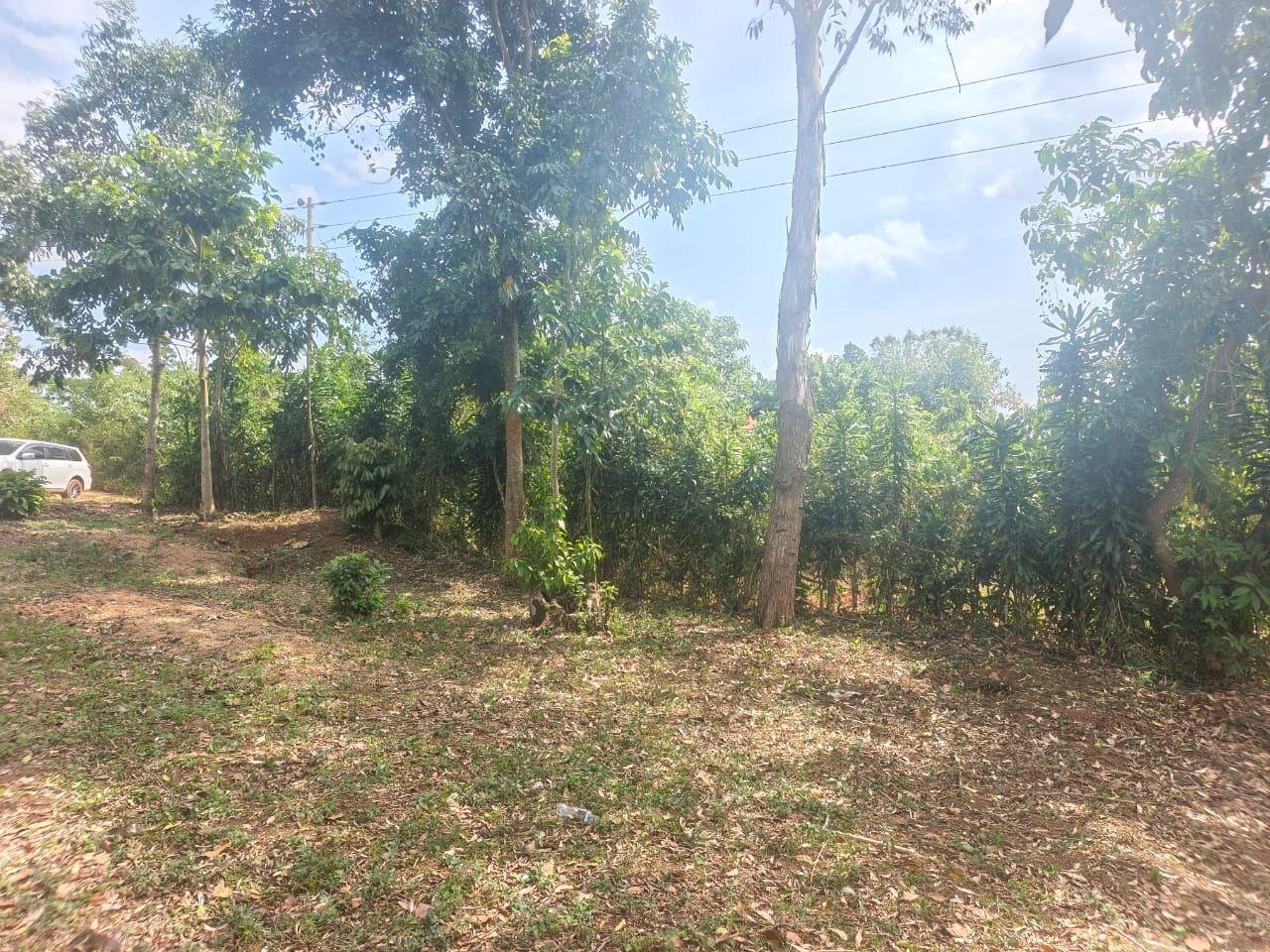 5 Acres of Prime Mailo Land for Sale in Mbalala, Mukono – UGX 70M per Acre — photo 5