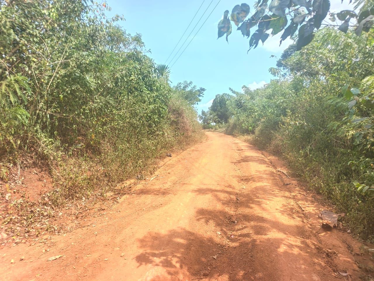 5 Acres of Prime Mailo Land for Sale in Mbalala, Mukono – UGX 70M per Acre — photo 6