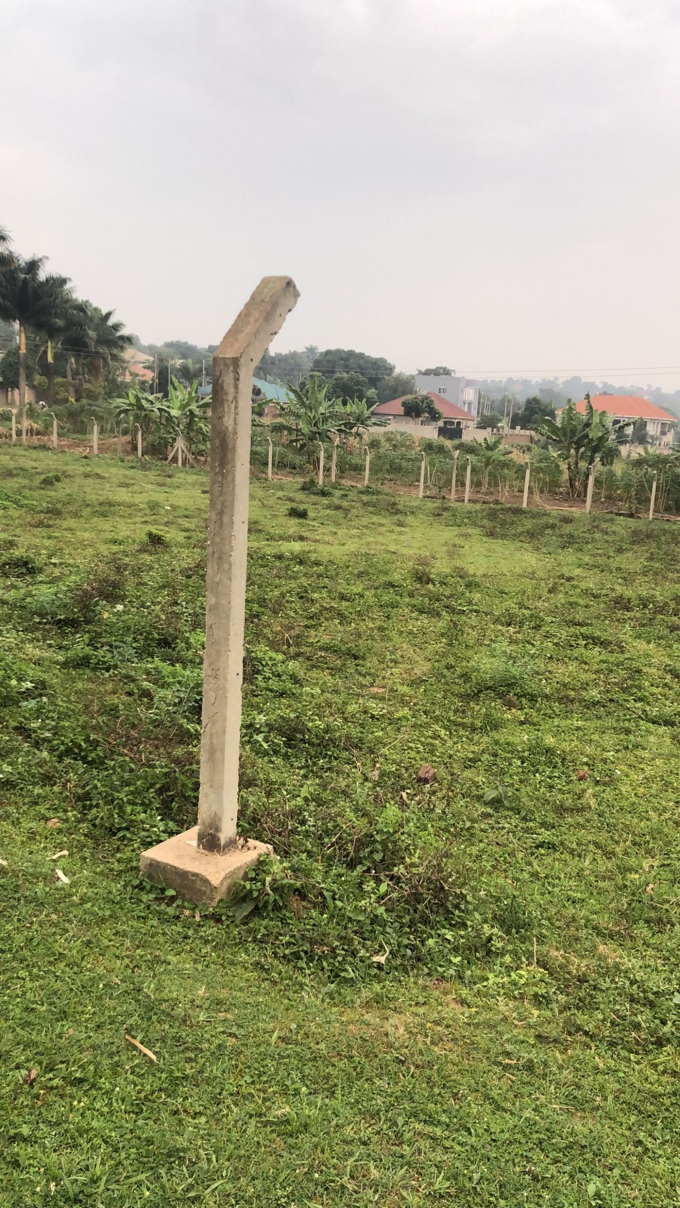 50 Decimals in an Established Exclusive Neighborhood – Kajjansi | UGX 400,000,000 — photo 2