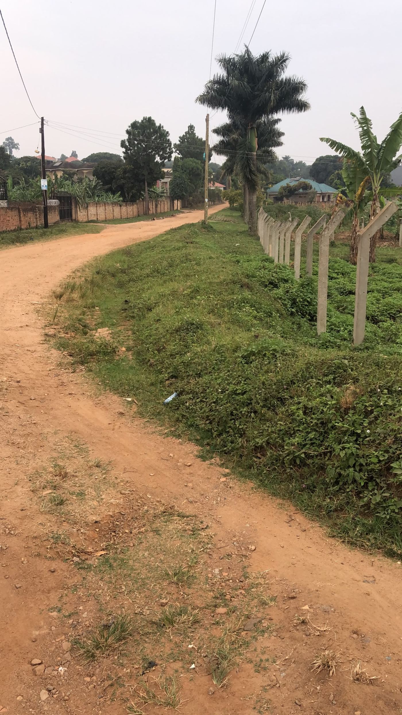 50 Decimals in an Established Exclusive Neighborhood – Kajjansi | UGX 400,000,000 — photo 4