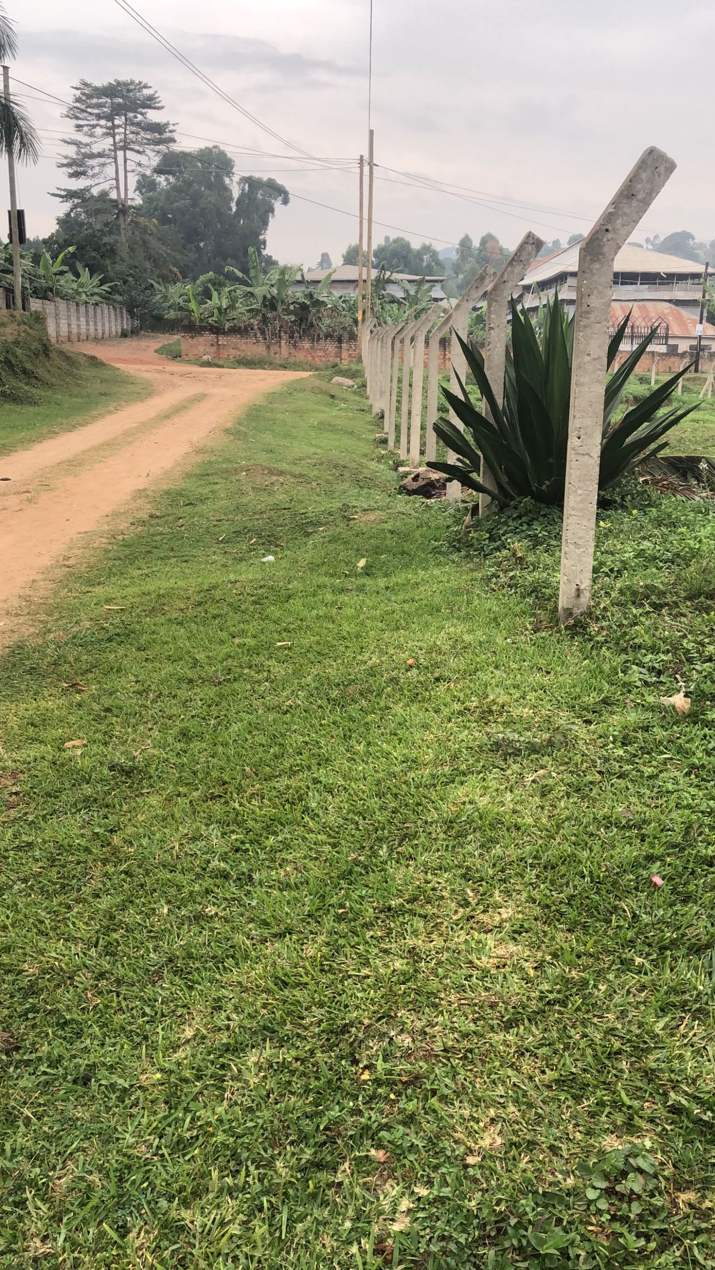 50 Decimals in an Established Exclusive Neighborhood – Kajjansi | UGX 400,000,000 — photo 5