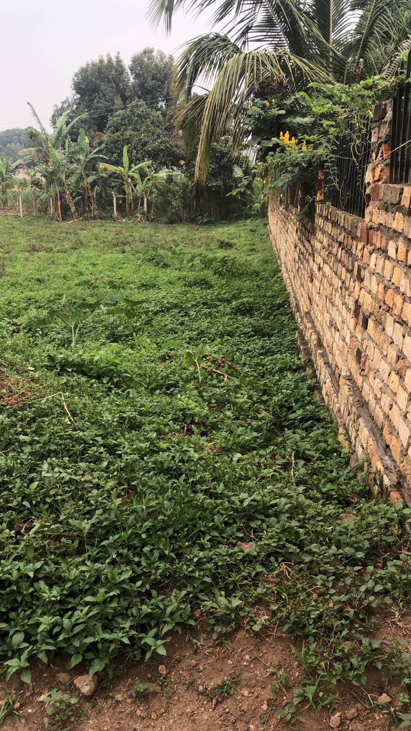 50 Decimals in an Established Exclusive Neighborhood – Kajjansi | UGX 400,000,000 — photo 6