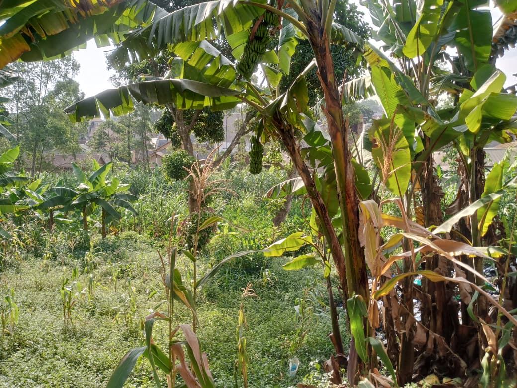 87 Decimals on Private Mailo – Kikaaya, Kawempe Division | UGX 600,000,000 (Slightly Negotiable) — photo 2