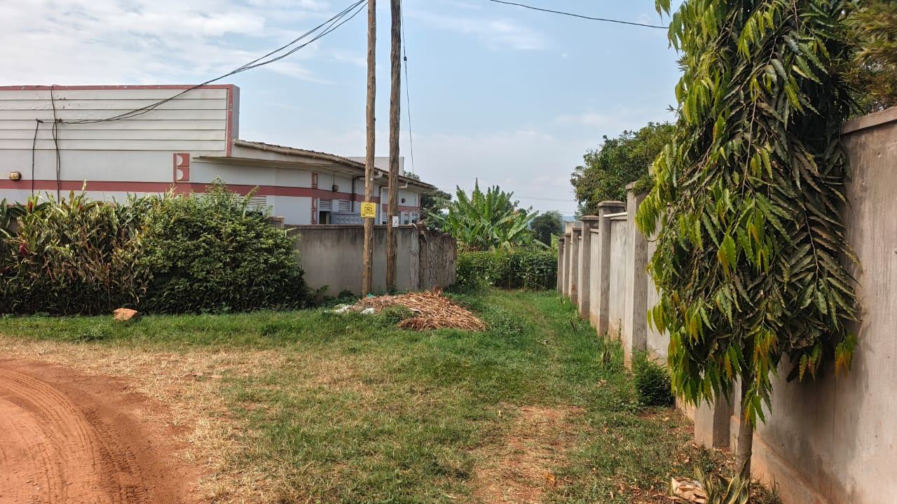 12 Decimals in a Built-Up Neighbourhood – Joogo, Mukono | UGX 50,000,000 — photo 2