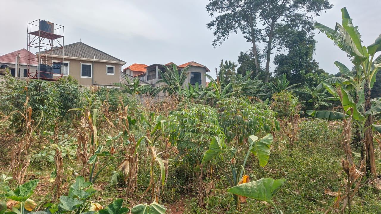 12 Decimals in a Built-Up Neighbourhood – Joogo, Mukono | UGX 50,000,000 — photo 3
