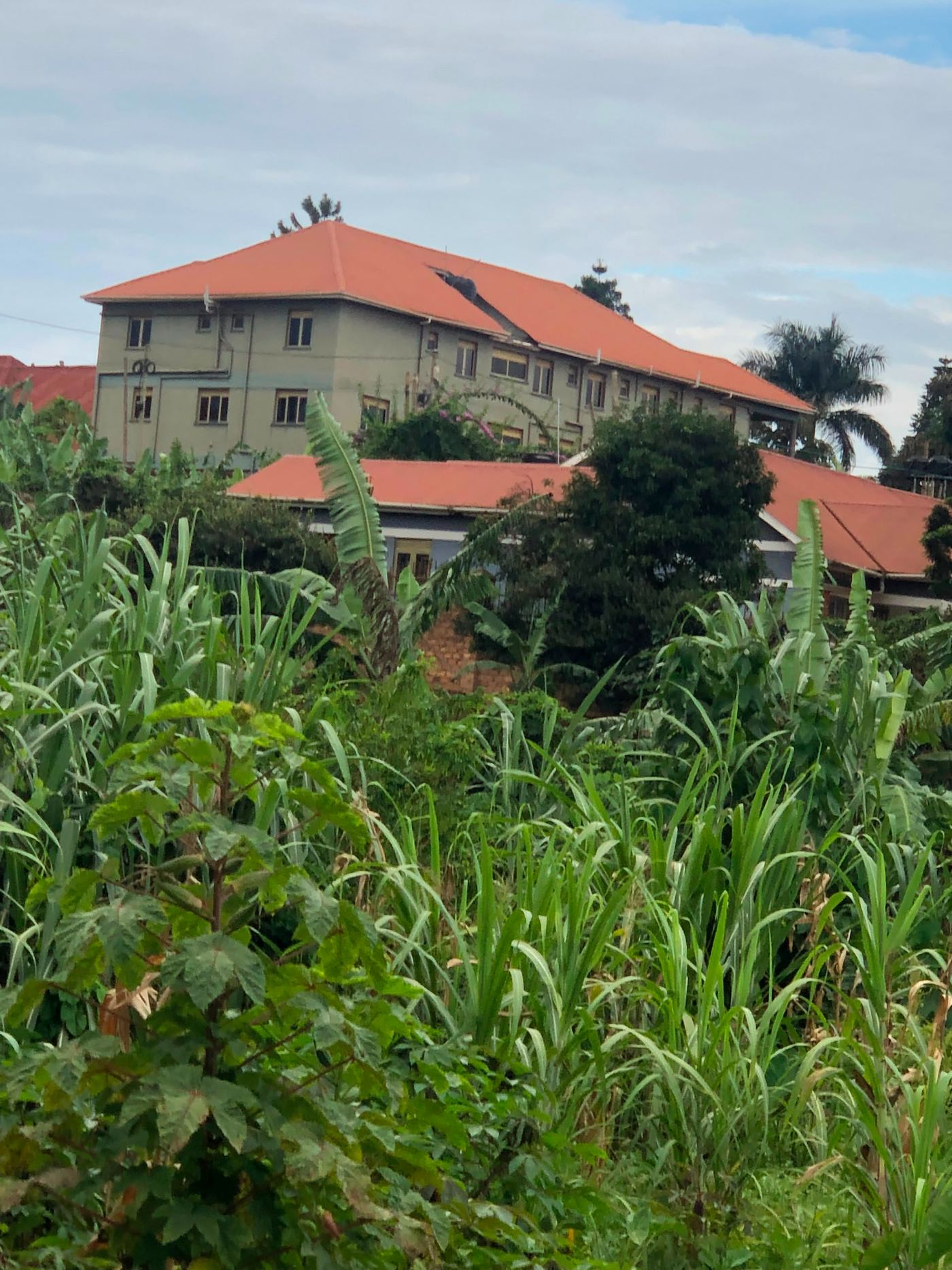 2 Acres on Private Mailo – Namugongo Wabusana | UGX 1,000,000,000 — photo 3