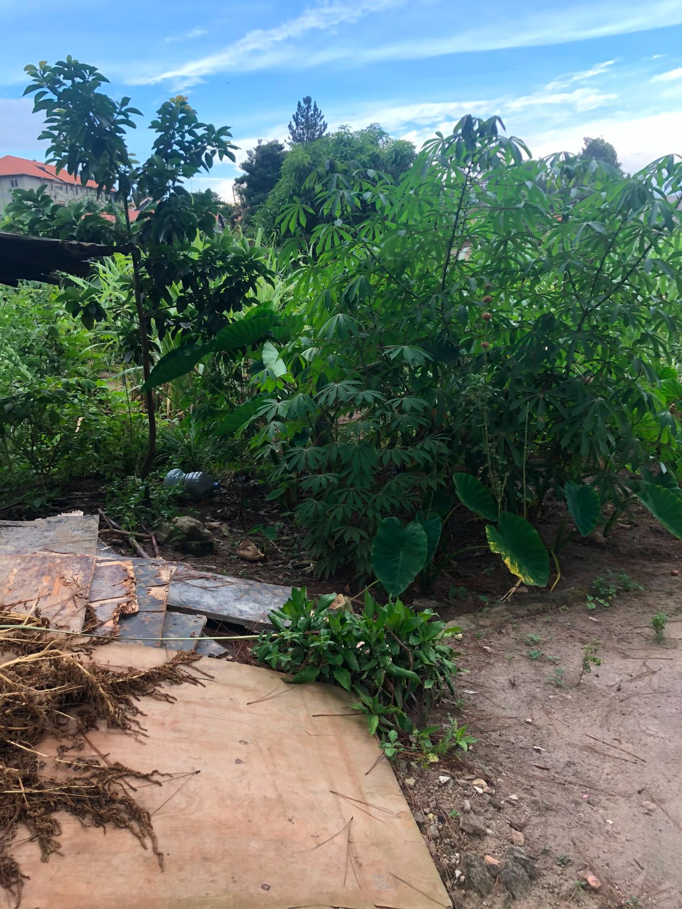 2 Acres on Private Mailo – Namugongo Wabusana | UGX 1,000,000,000 — photo 4