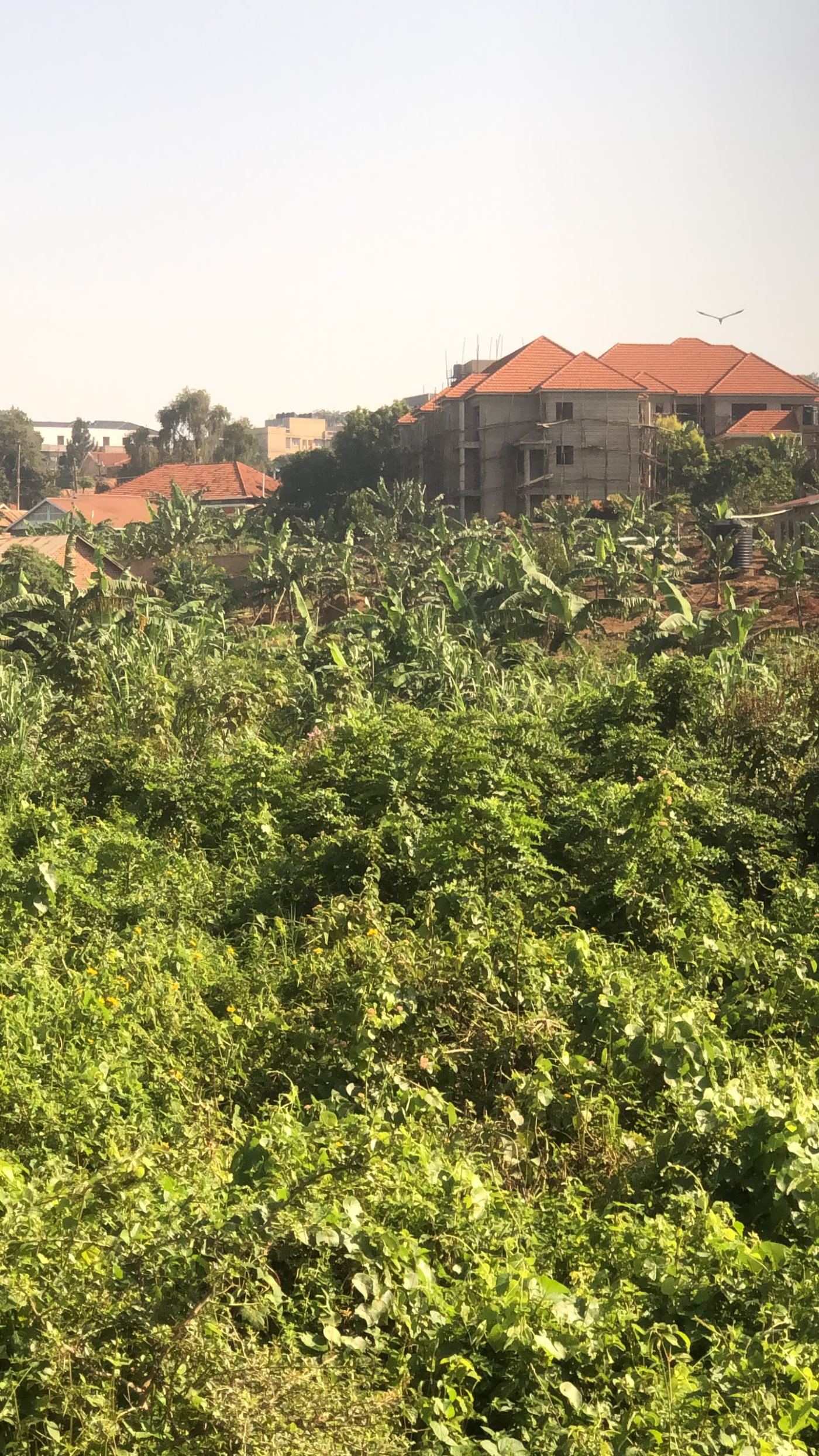 2 Acres on Private Mailo – Namugongo Wabusana | UGX 1,000,000,000 — photo 7