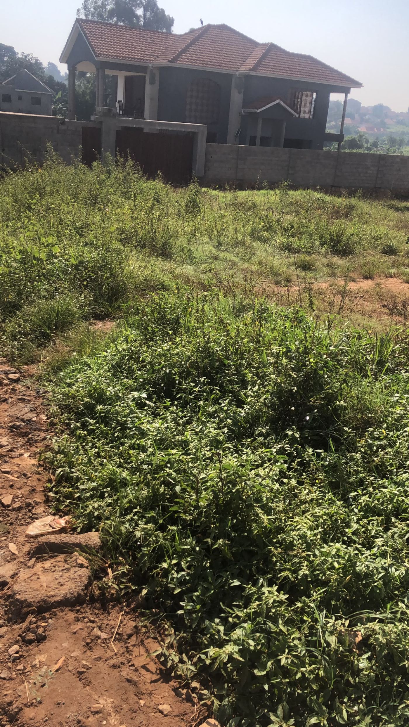2 Acres on Private Mailo – Namugongo Wabusana | UGX 1,000,000,000 — photo 8