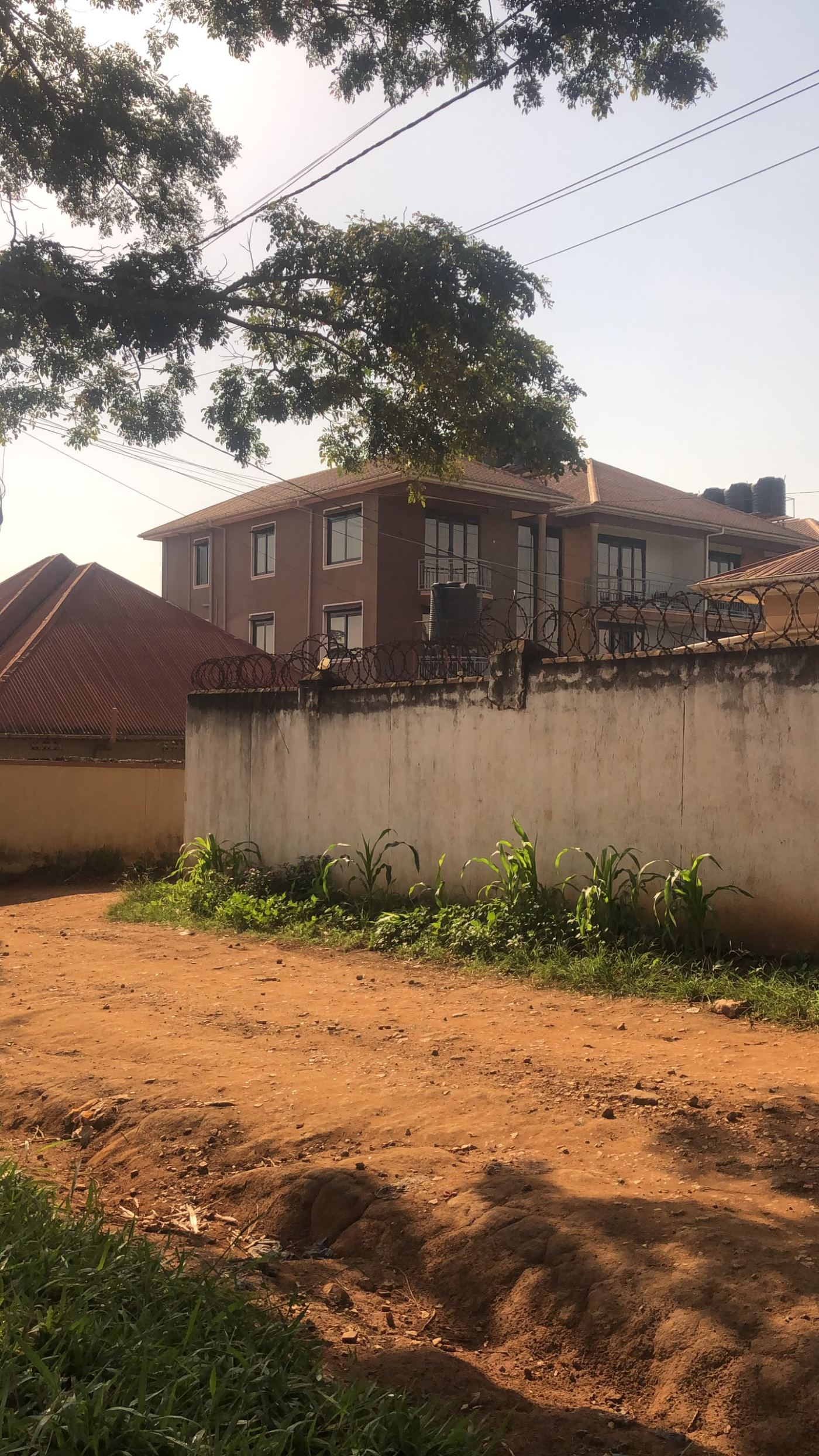 2 Acres on Private Mailo – Namugongo Wabusana | UGX 1,000,000,000 — photo 10