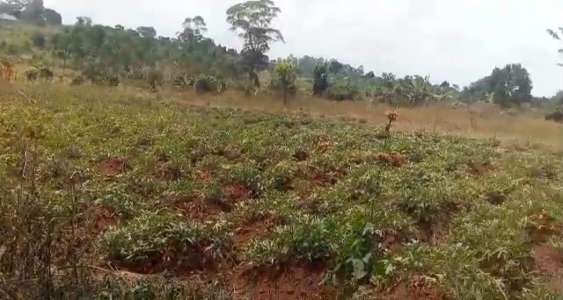 3 Acres on Private Mailo – Nyanja, Bukerere | UGX 230,000,000