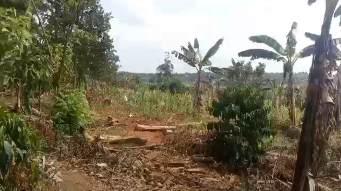 3 Acres on Private Mailo – Nyanja, Bukerere | UGX 230,000,000 — photo 2