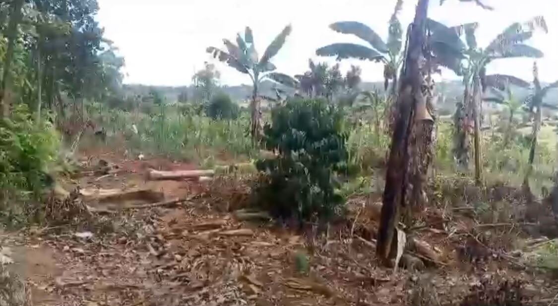 3 Acres on Private Mailo – Nyanja, Bukerere | UGX 230,000,000 — photo 4