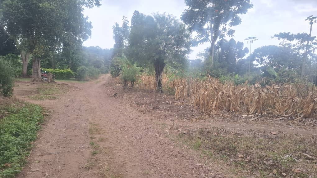 21 Acres of Farmland with Dual Road Access – Bukungulu, off Mityana Road | UGX 17M per acre — photo 2