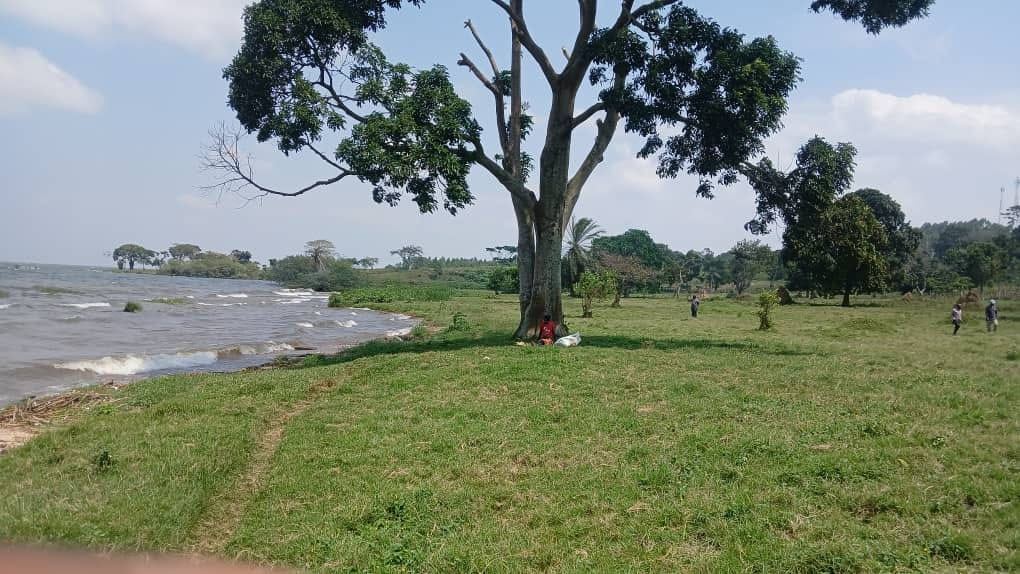 15 Acres of Lake Victoria Shoreline – Garuga, Bulega | UGX 650M per acre — photo 1