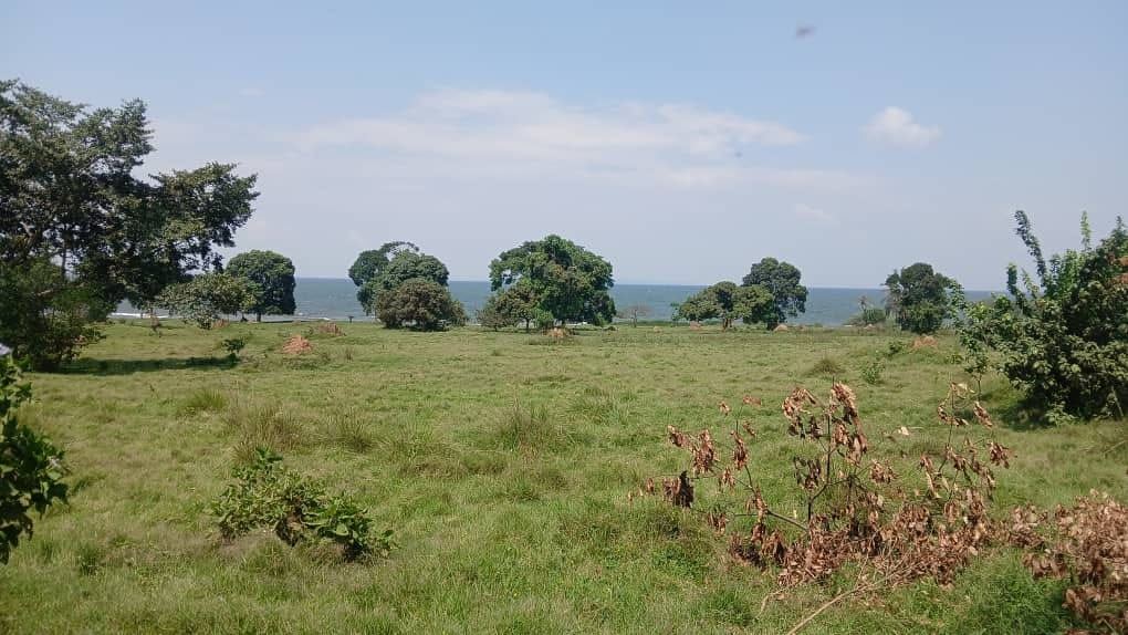 15 Acres of Lake Victoria Shoreline – Garuga, Bulega | UGX 650M per acre — photo 2