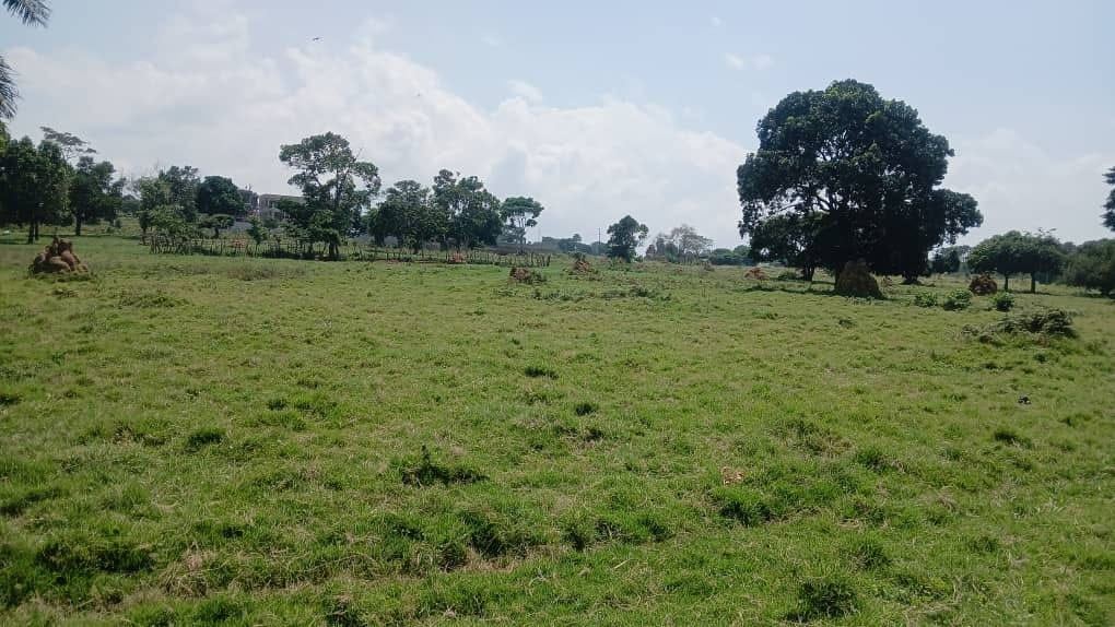 15 Acres of Lake Victoria Shoreline – Garuga, Bulega | UGX 650M per acre — photo 4