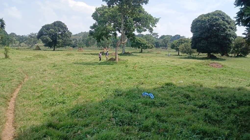 15 Acres of Lake Victoria Shoreline – Garuga, Bulega | UGX 650M per acre — photo 5