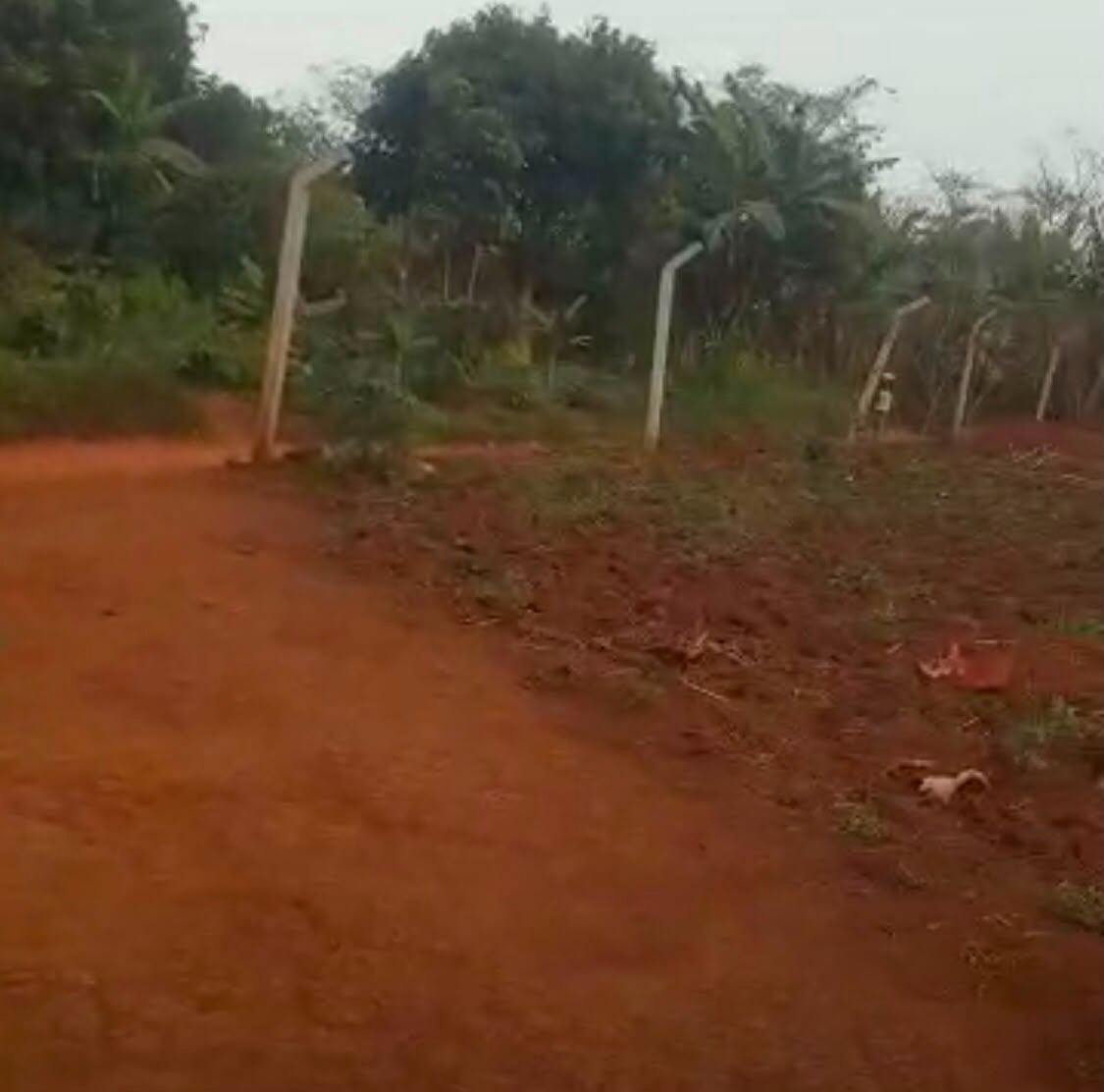 2.9 Acres, Fenced with Power & Water – Naluwala, Katosi Road | UGX 130,000,000 — photo 1