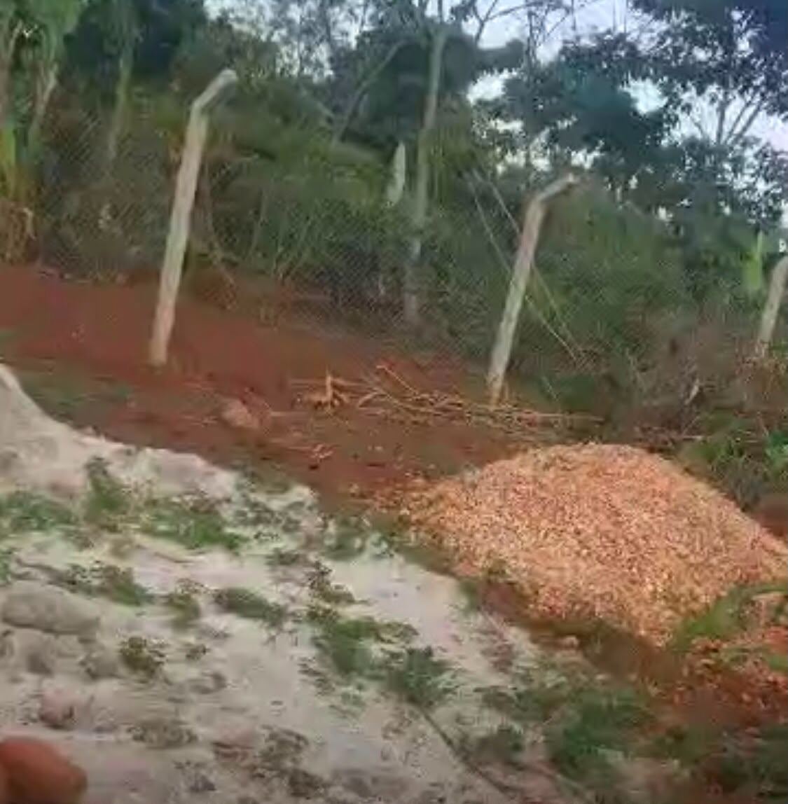 2.9 Acres, Fenced with Power & Water – Naluwala, Katosi Road | UGX 130,000,000 — photo 2