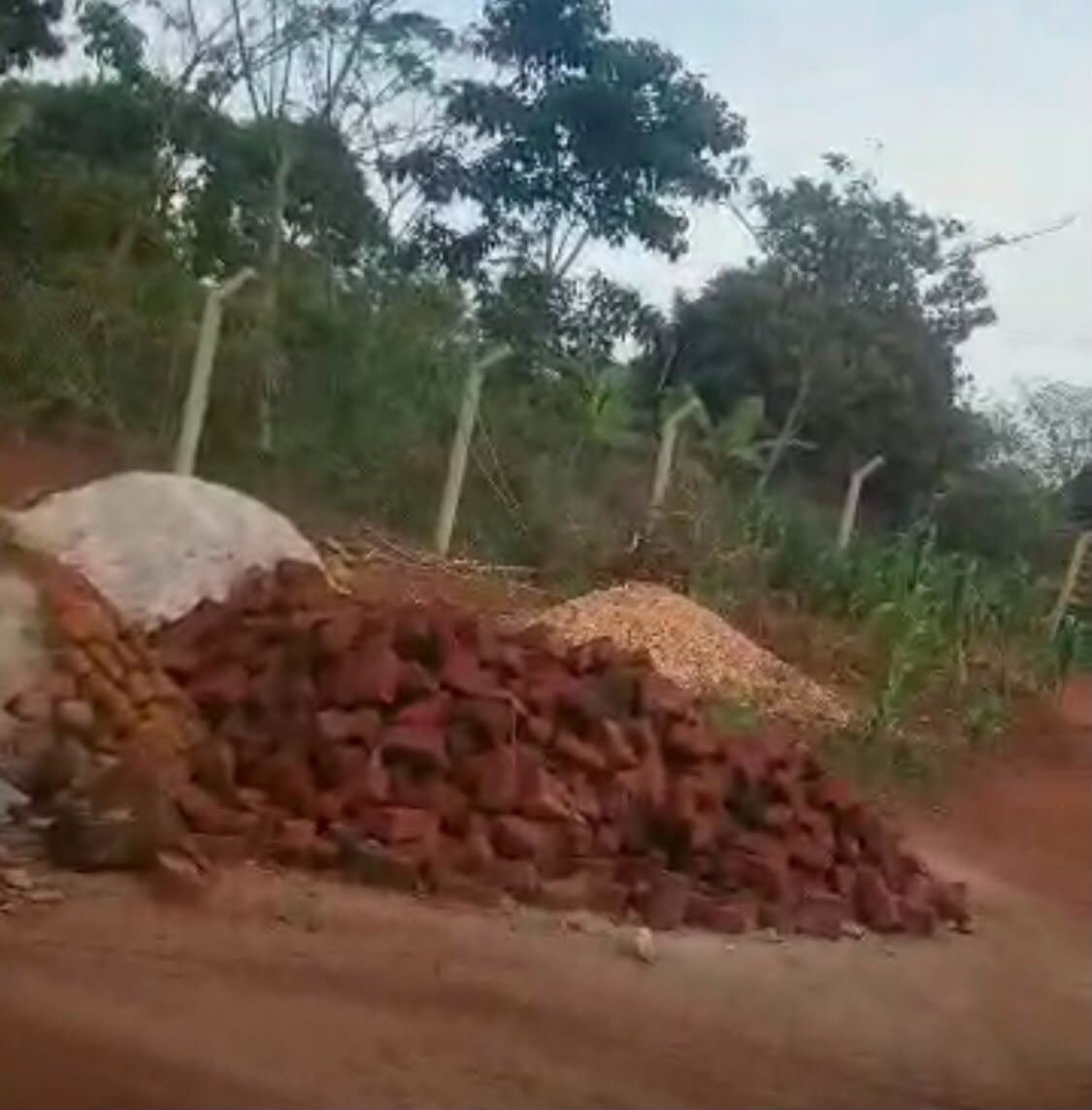 2.9 Acres, Fenced with Power & Water – Naluwala, Katosi Road | UGX 130,000,000 — photo 3