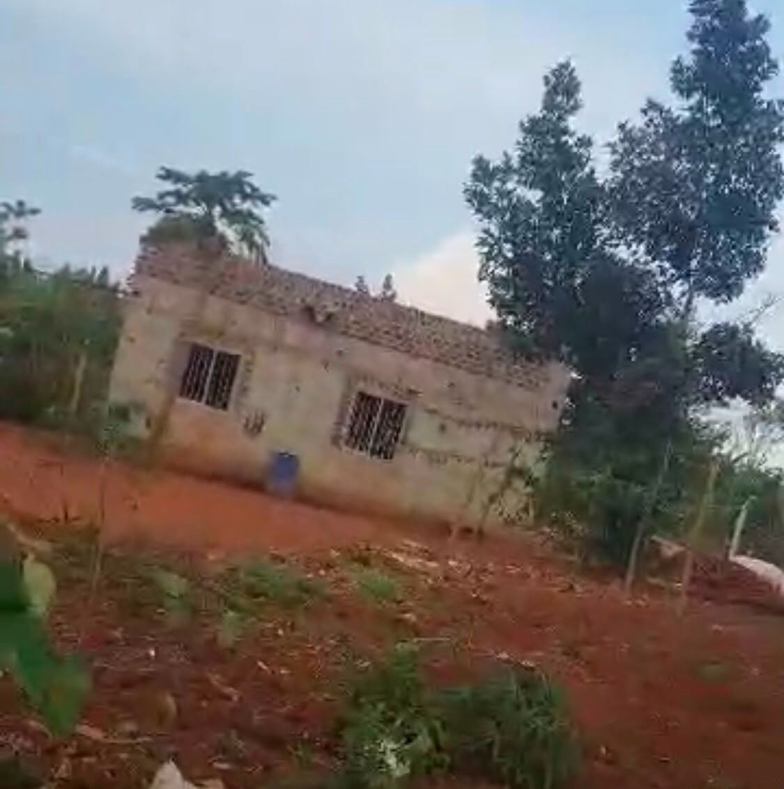 2.9 Acres, Fenced with Power & Water – Naluwala, Katosi Road | UGX 130,000,000 — photo 4