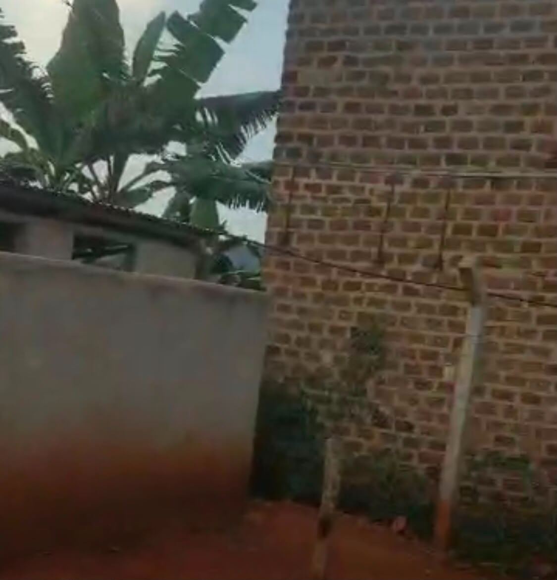 2.9 Acres, Fenced with Power & Water – Naluwala, Katosi Road | UGX 130,000,000 — photo 5