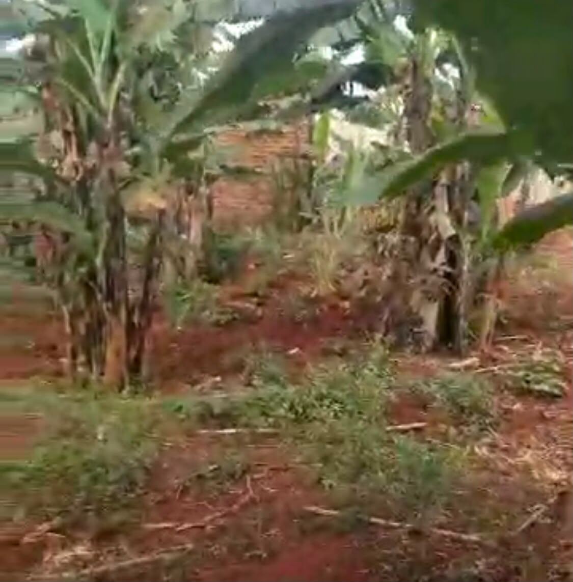 2.9 Acres, Fenced with Power & Water – Naluwala, Katosi Road | UGX 130,000,000 — photo 7