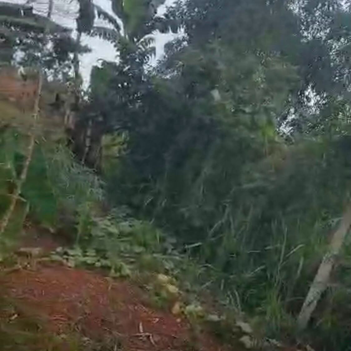 2.9 Acres, Fenced with Power & Water – Naluwala, Katosi Road | UGX 130,000,000 — photo 9