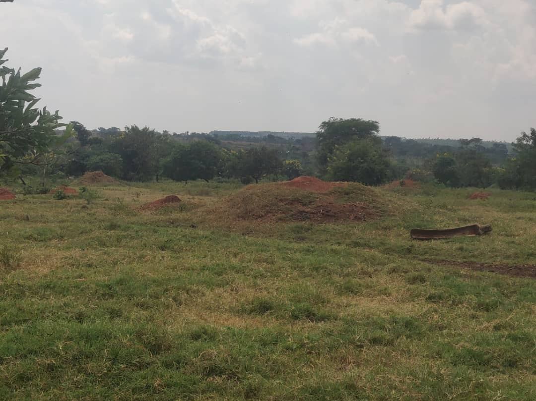 200 Acres with Dam and Fencing – Kalagala–Kiwoko Road, Nakaseke | UGX 10M per acre — photo 1
