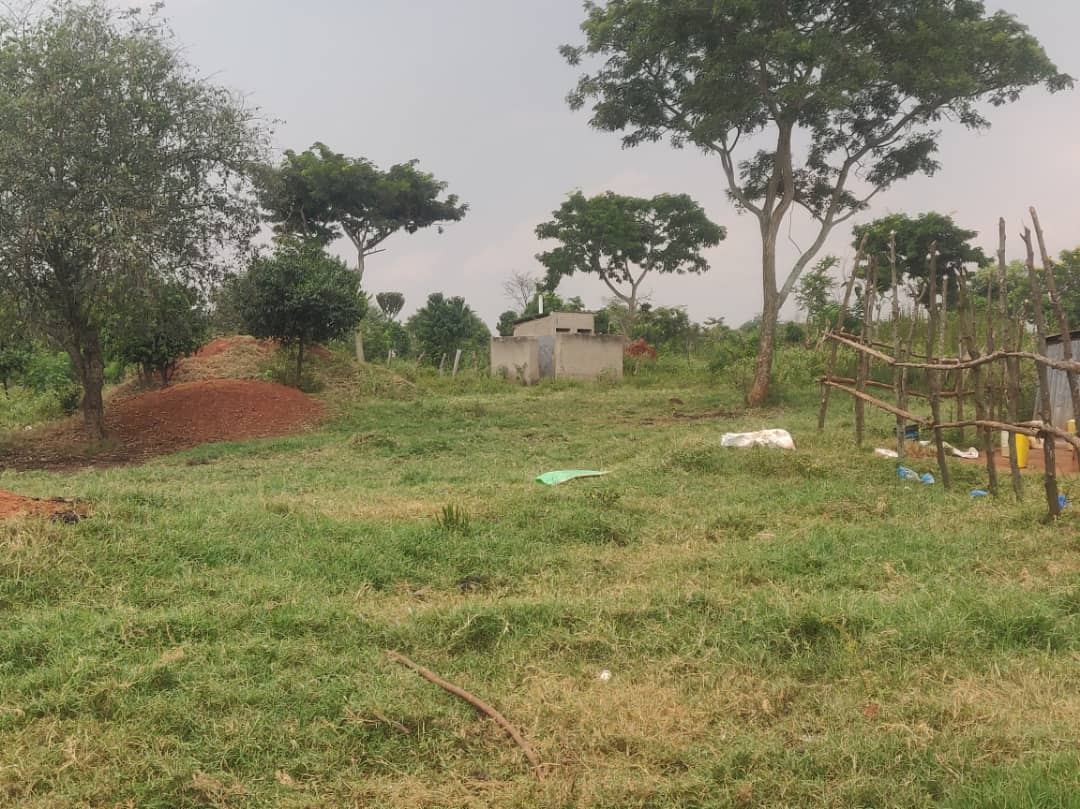200 Acres with Dam and Fencing – Kalagala–Kiwoko Road, Nakaseke | UGX 10M per acre — photo 2