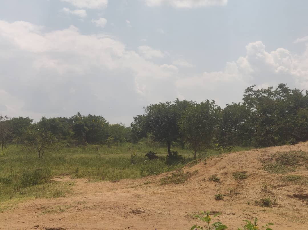 200 Acres with Dam and Fencing – Kalagala–Kiwoko Road, Nakaseke | UGX 10M per acre — photo 6