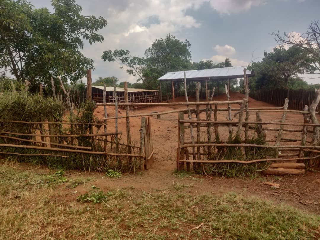 200 Acres with Dam and Fencing – Kalagala–Kiwoko Road, Nakaseke | UGX 10M per acre — photo 7