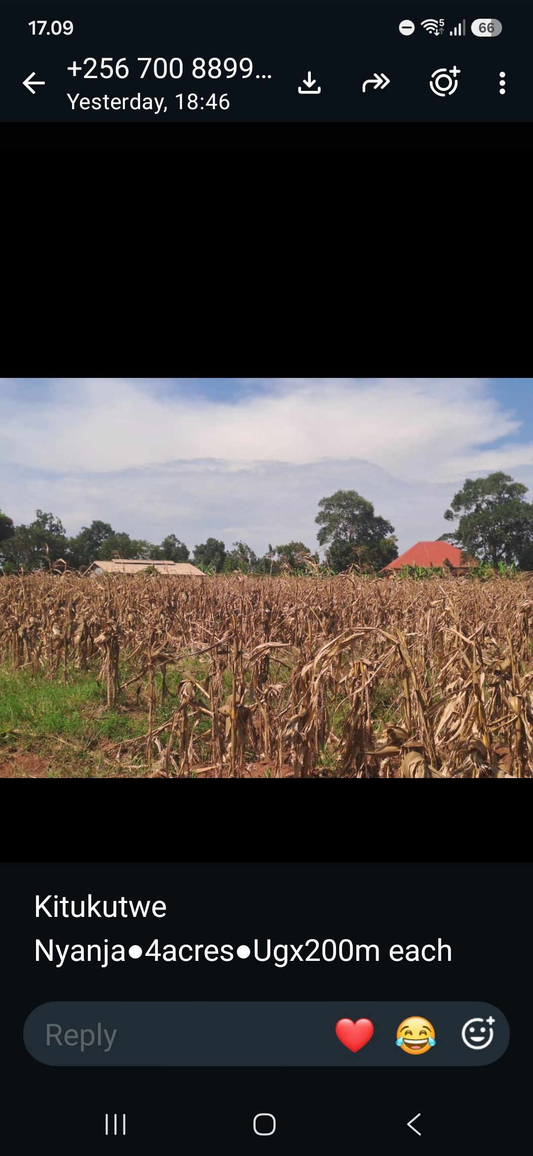 4 Acres of Productive Farmland – Kitukutwe, Nyanja | UGX 200M per acre — photo 1