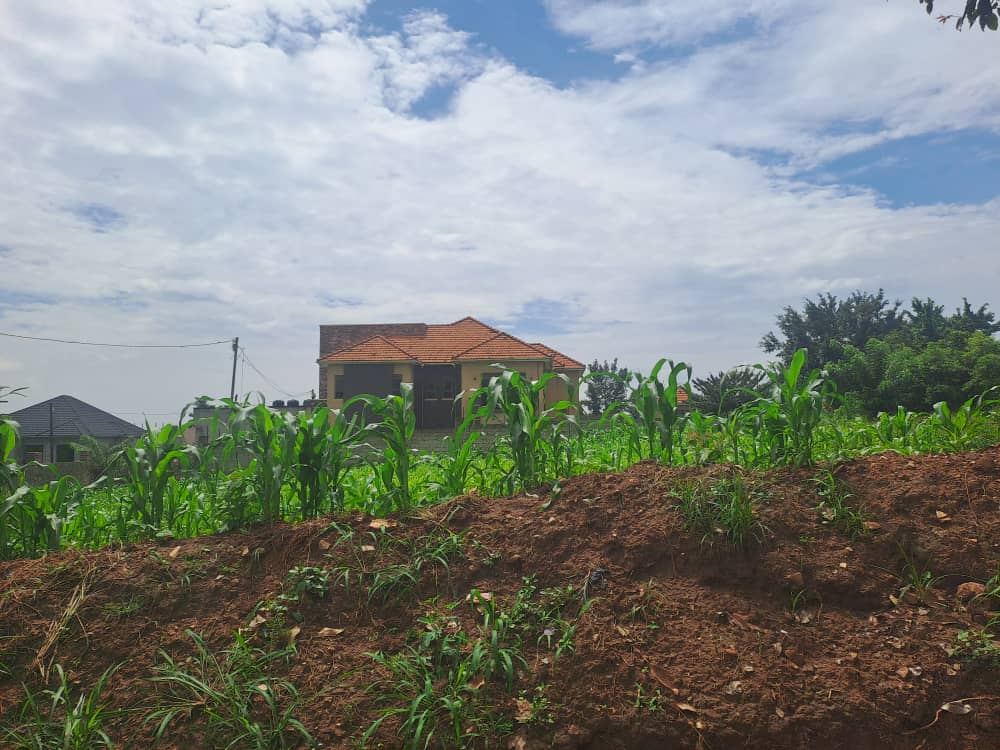 45 Decimals in Nsasa Estate – Kira | UGX 430,000,000 — photo 1