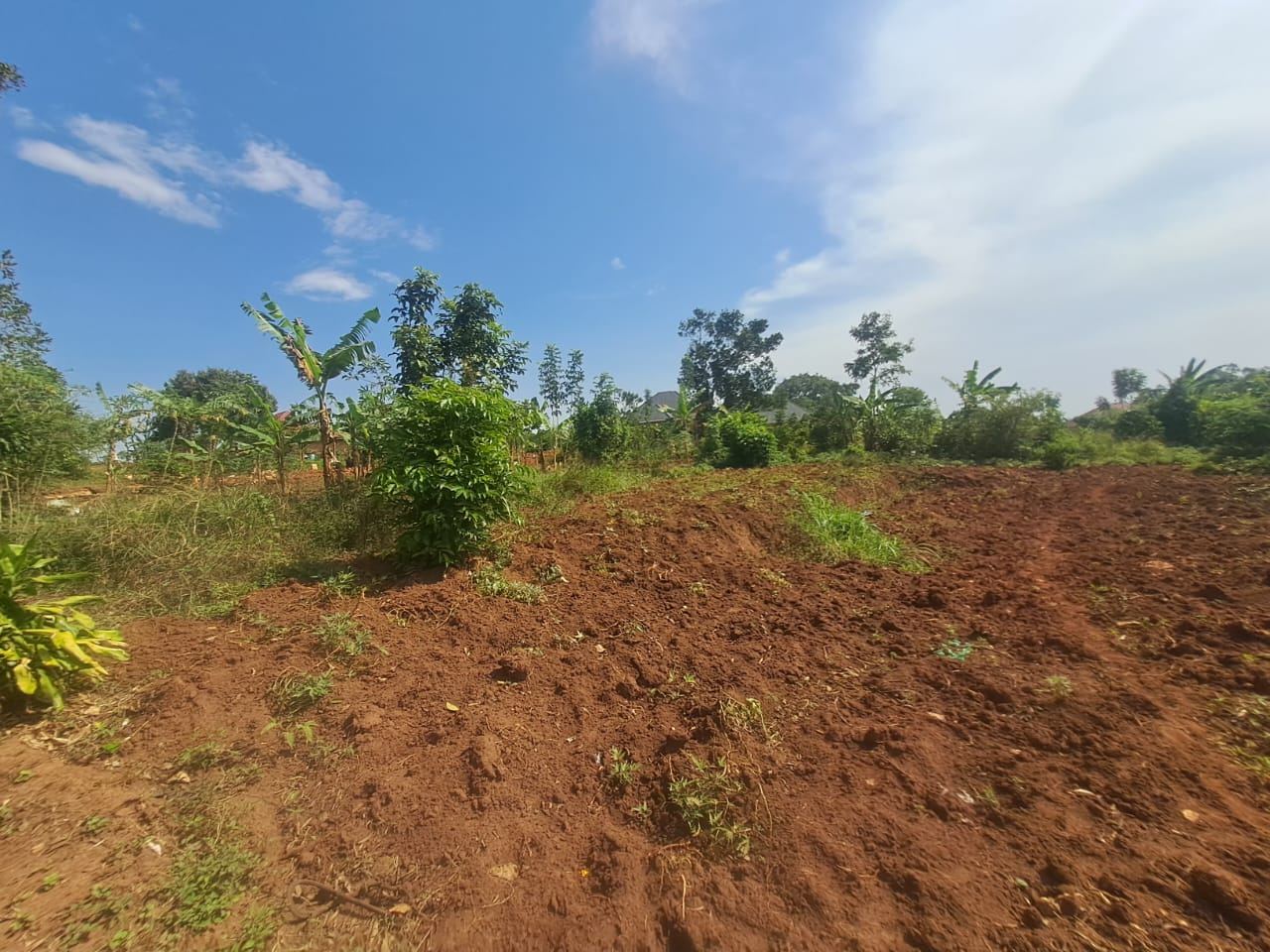 9 Acres, Available by the Acre – Kitukutwe, Nyanja | UGX 180M per acre — photo 1